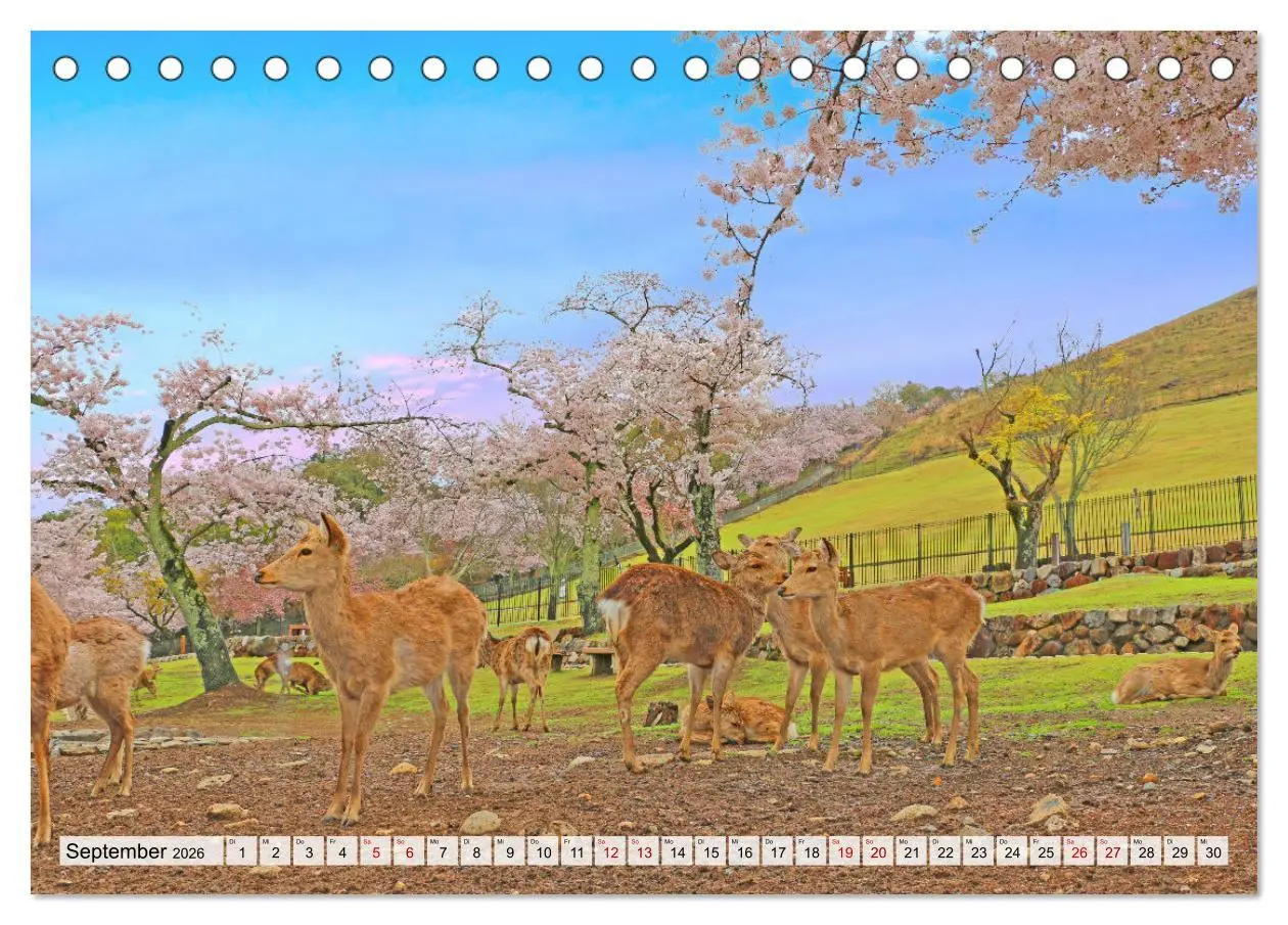 Bild: 9783457671092 | Japan das Land der aufgehenden Sonne (Tischkalender 2026 DIN A5...