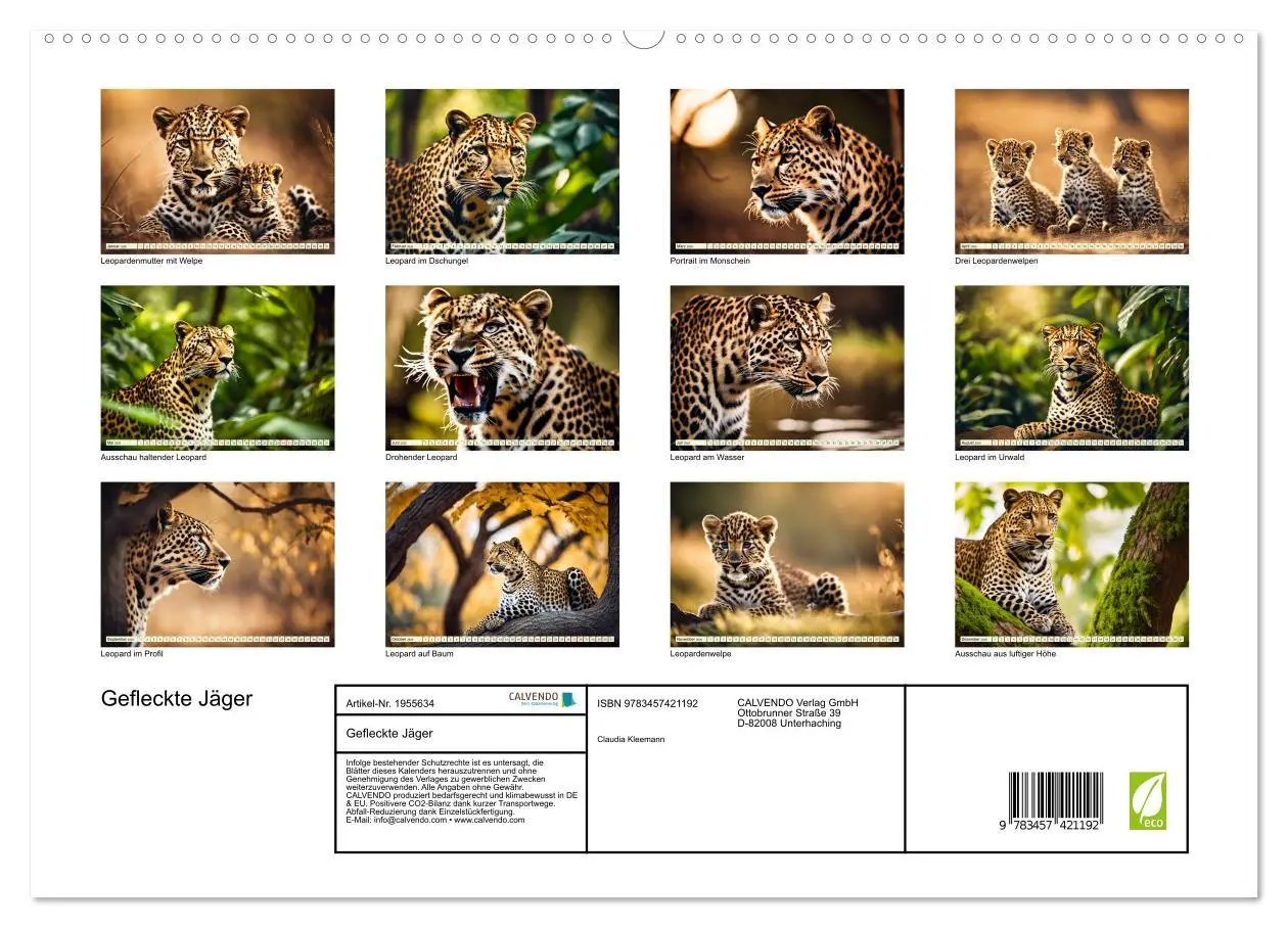 Bild: 9783457421192 | Gefleckte Jäger (hochwertiger Premium Wandkalender 2026 DIN A2...