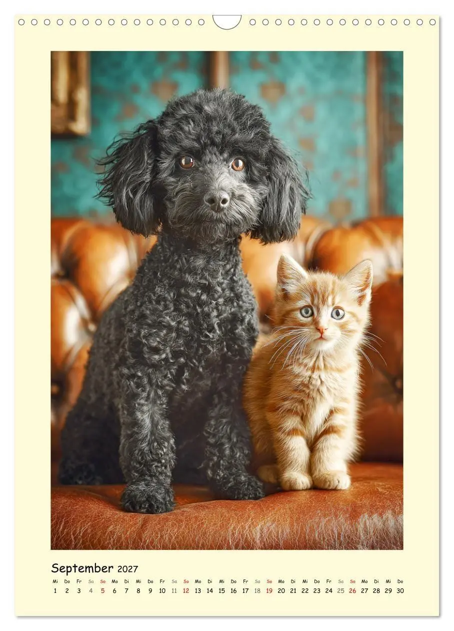 Bild: 9783516751192 | Pudelzauber. Flauschige Hunde für Herz und Seele (Wandkalender 2027...