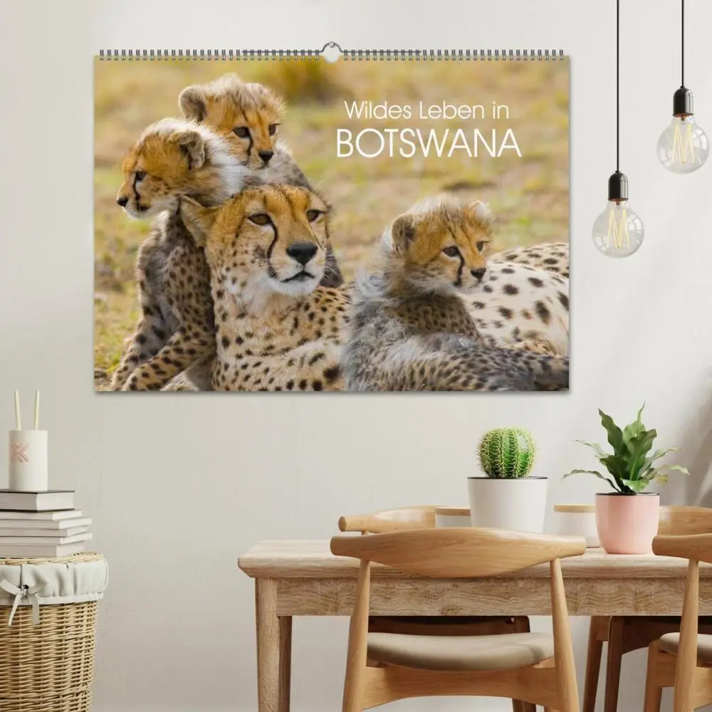 Bild: 9783435491292 | Wildes Leben in Botswana (Wandkalender 2025 DIN A2 quer), CALVENDO...