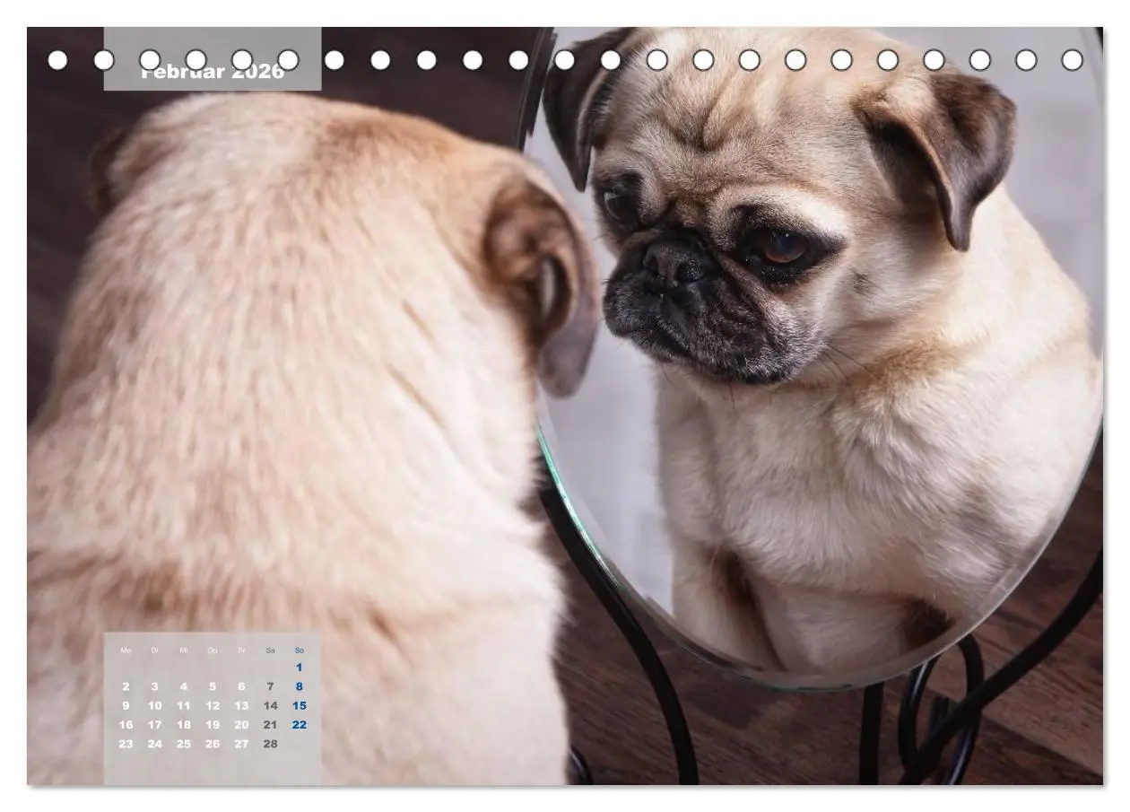 Bild: 9783457961292 | Lillie Mopsgetier - mopsfidel durchs Jahr (Tischkalender 2026 DIN...