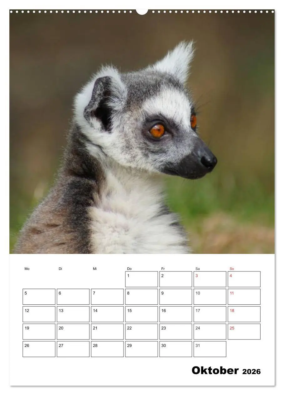 Bild: 9783516431292 | Katta Terminplaner (hochwertiger Premium Wandkalender 2026 DIN A2...