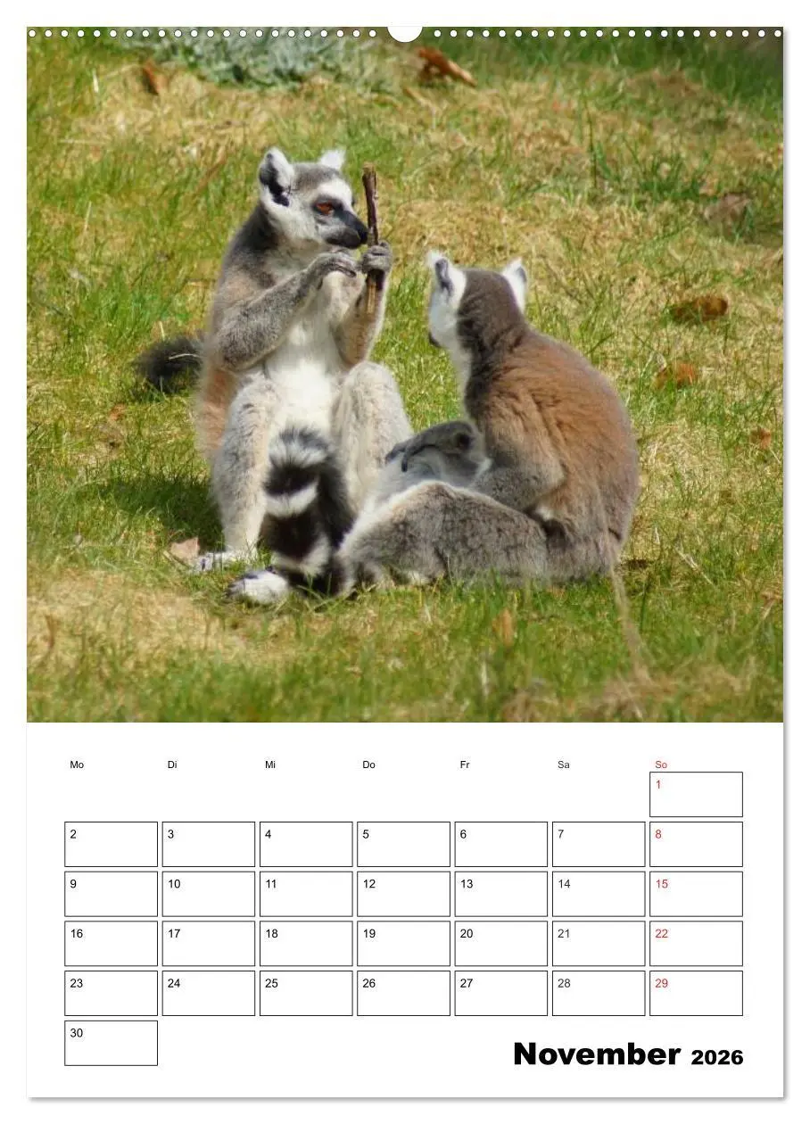 Bild: 9783516431292 | Katta Terminplaner (hochwertiger Premium Wandkalender 2026 DIN A2...