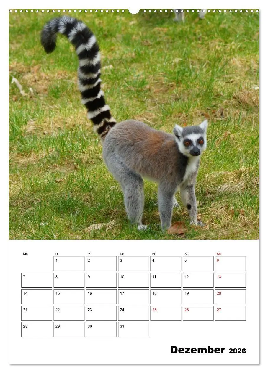 Bild: 9783516431292 | Katta Terminplaner (hochwertiger Premium Wandkalender 2026 DIN A2...