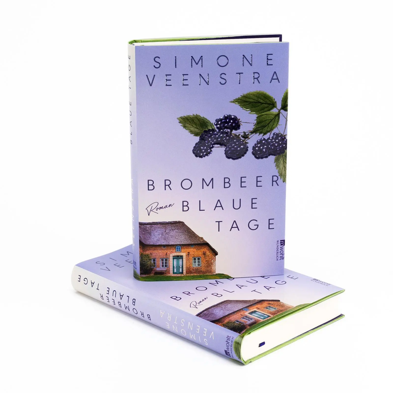 Bild: 9783805201292 | Brombeerblaue Tage | Ein bewegender Familienroman an der Ostsee.