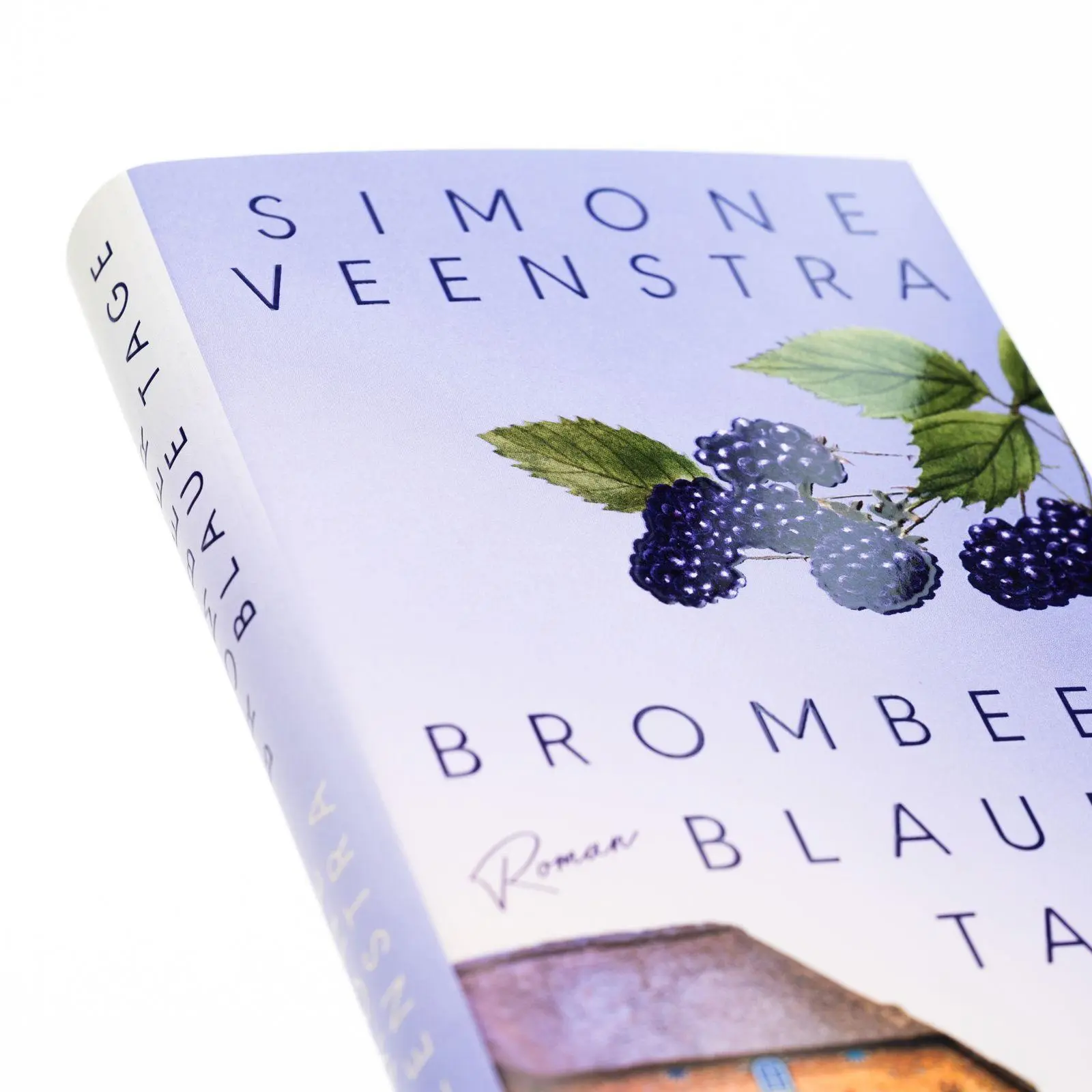 Bild: 9783805201292 | Brombeerblaue Tage | Ein bewegender Familienroman an der Ostsee.