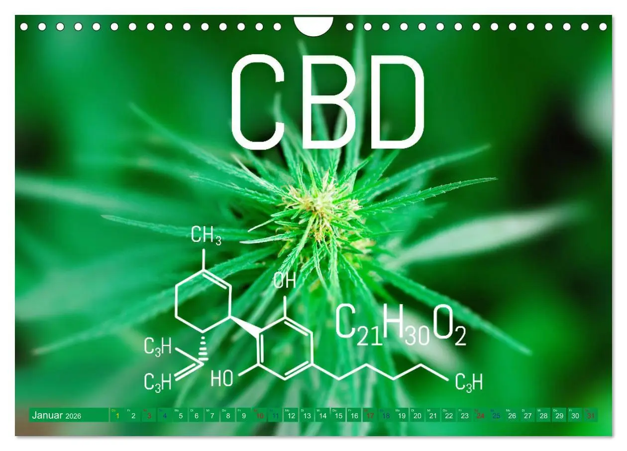 Bild: 9783457331392 | Faszination Cannabis (Wandkalender 2026 DIN A4 quer), CALVENDO...