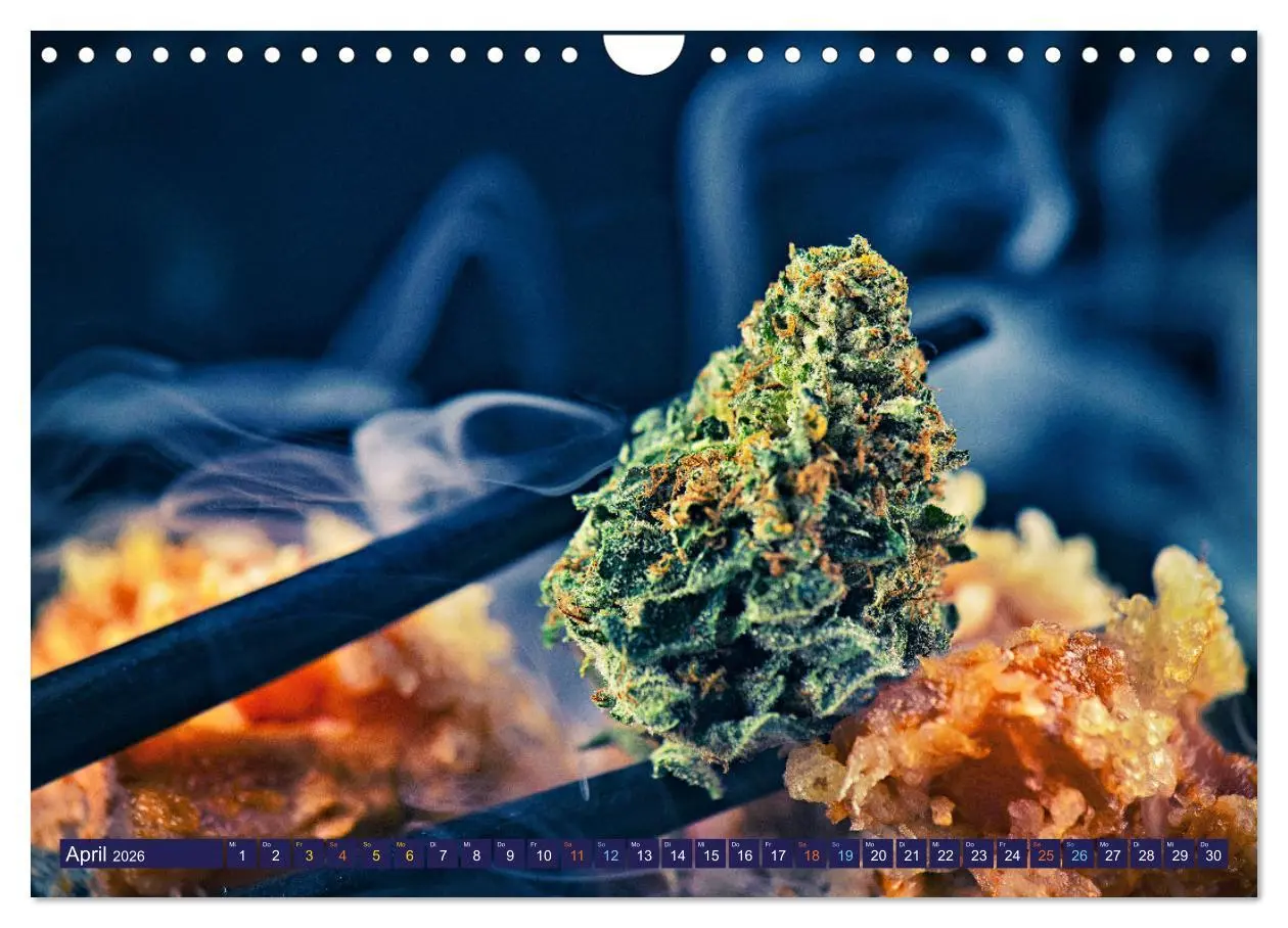 Bild: 9783457331392 | Faszination Cannabis (Wandkalender 2026 DIN A4 quer), CALVENDO...