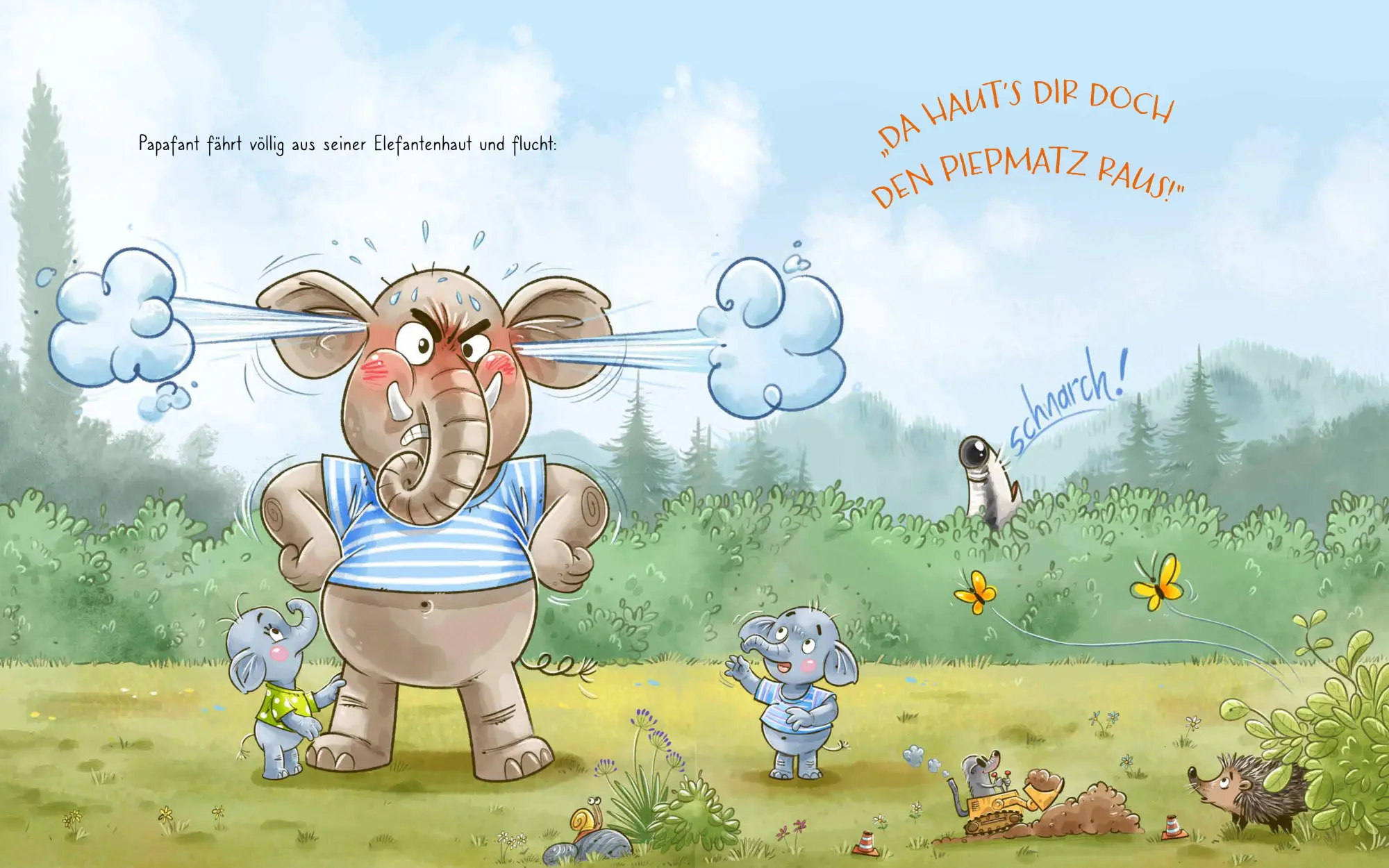 Bild: 9783833911392 | Papafant - Wut im Bauch? Ich doch nicht! | Nicola Anker | Buch | 32 S.