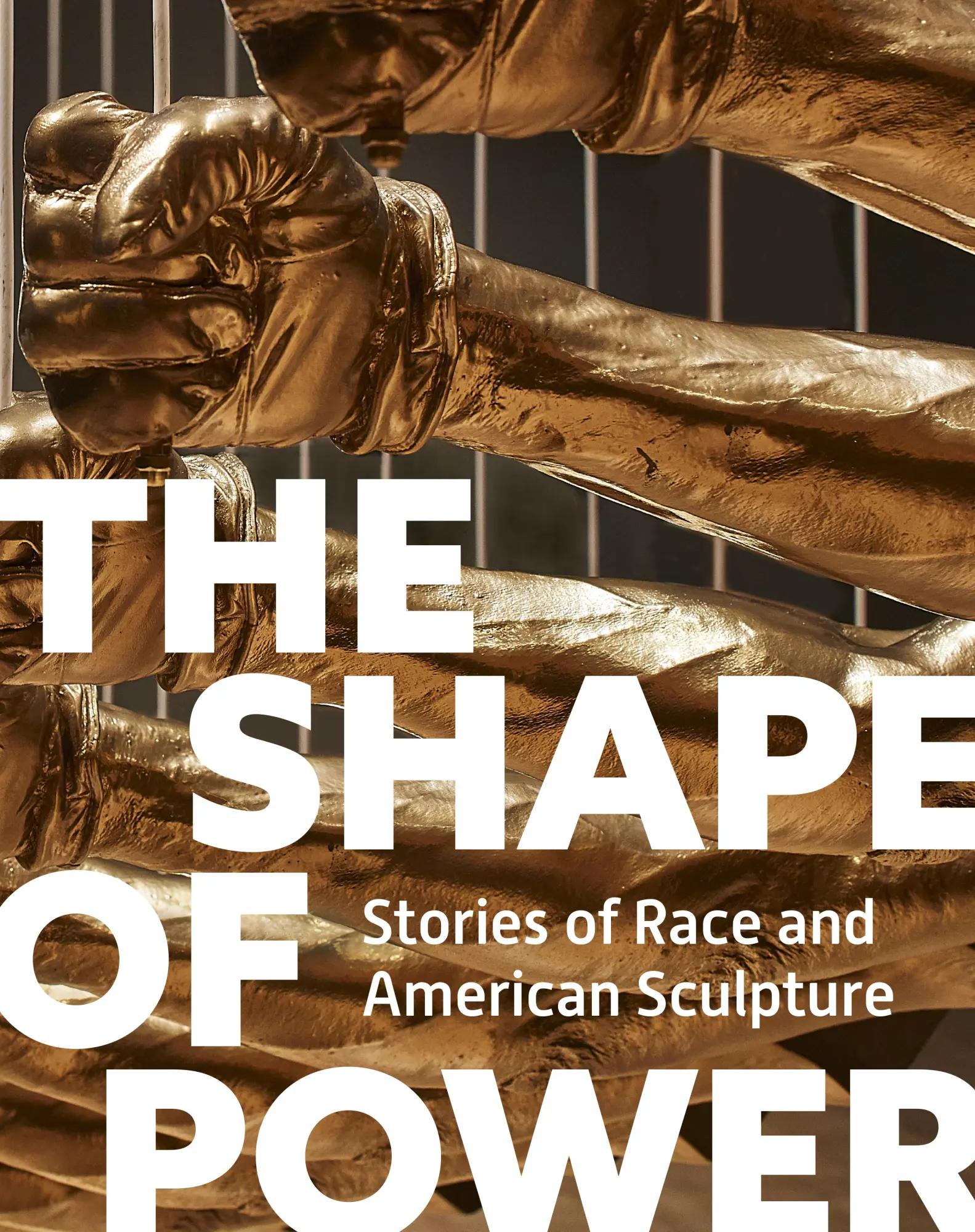 Cover: 9780691261492 | The Shape of Power | Stories of Race and American Sculpture | Buch