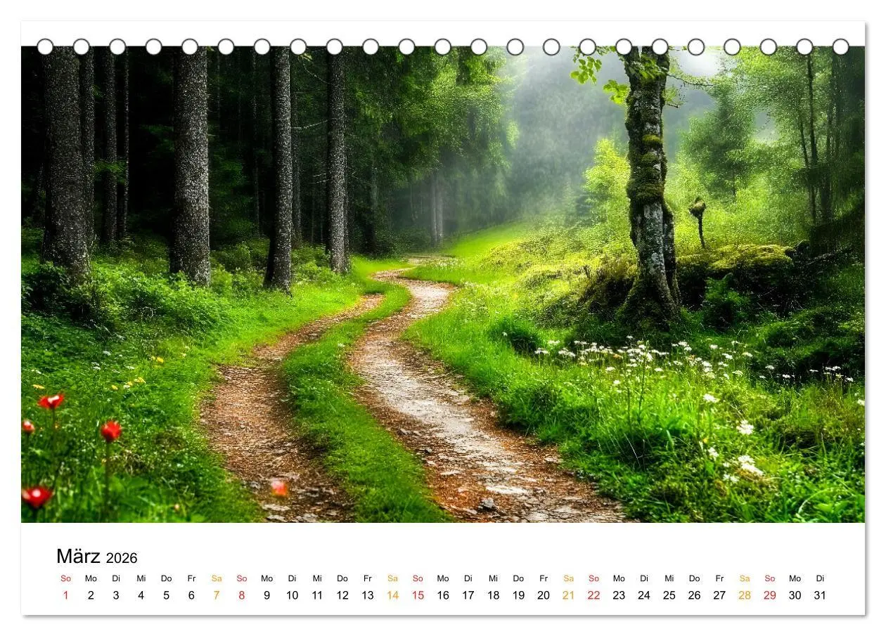 Bild: 9783457321492 | Mystik der Wälder (Tischkalender 2026 DIN A5 quer), CALVENDO...