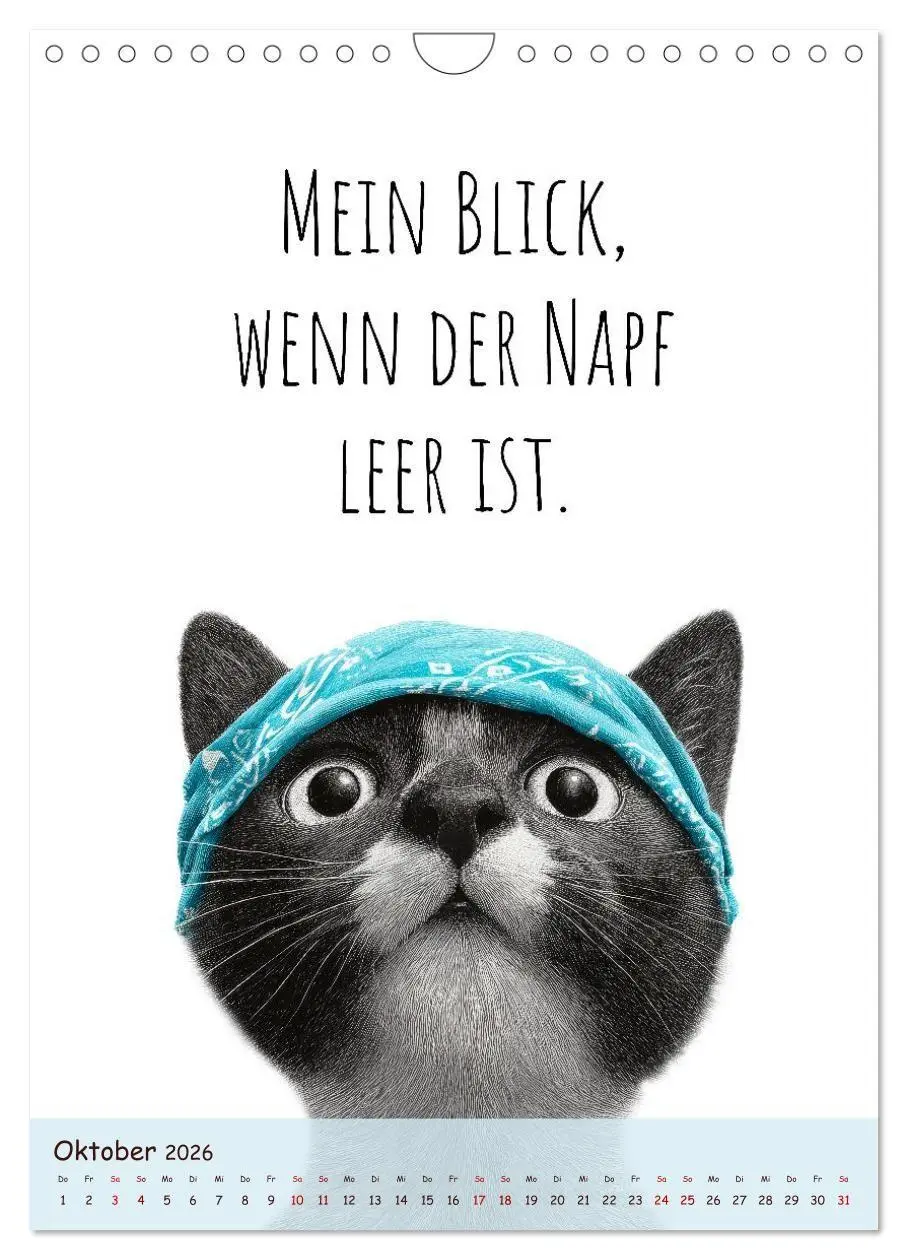 Bild: 9783516721492 | Katzenkult - Coolness auf vier Pfoten (Wandkalender 2026 DIN A4...