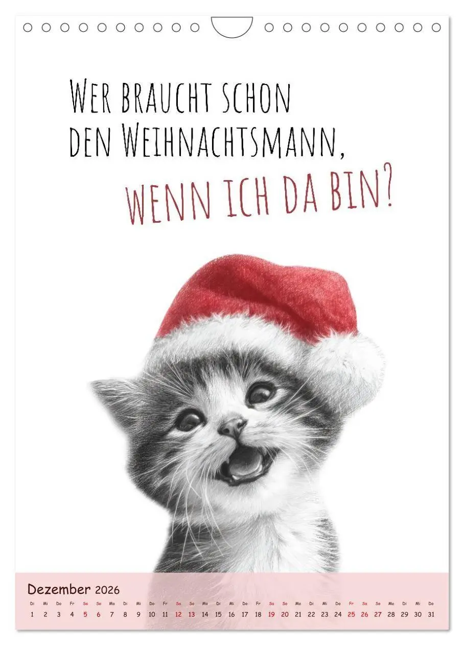 Bild: 9783516721492 | Katzenkult - Coolness auf vier Pfoten (Wandkalender 2026 DIN A4...