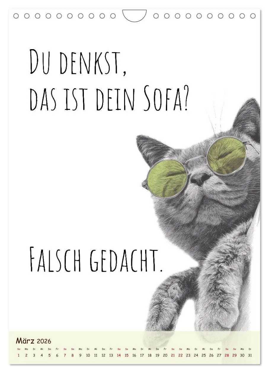 Bild: 9783516721492 | Katzenkult - Coolness auf vier Pfoten (Wandkalender 2026 DIN A4...