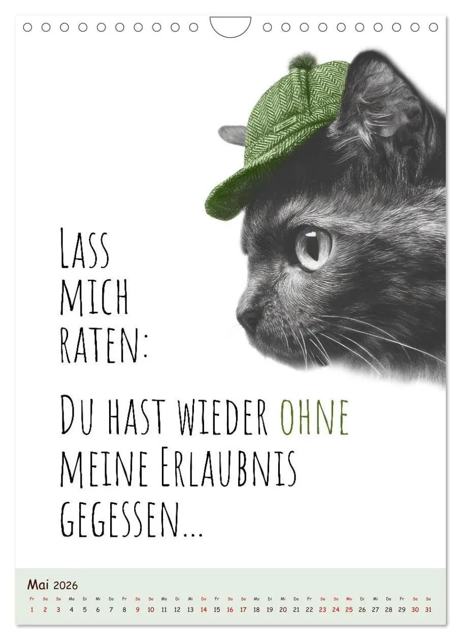 Bild: 9783516721492 | Katzenkult - Coolness auf vier Pfoten (Wandkalender 2026 DIN A4...