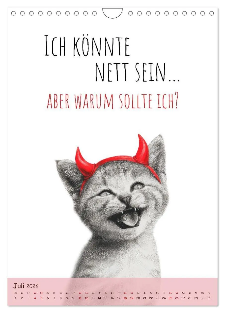 Bild: 9783516721492 | Katzenkult - Coolness auf vier Pfoten (Wandkalender 2026 DIN A4...