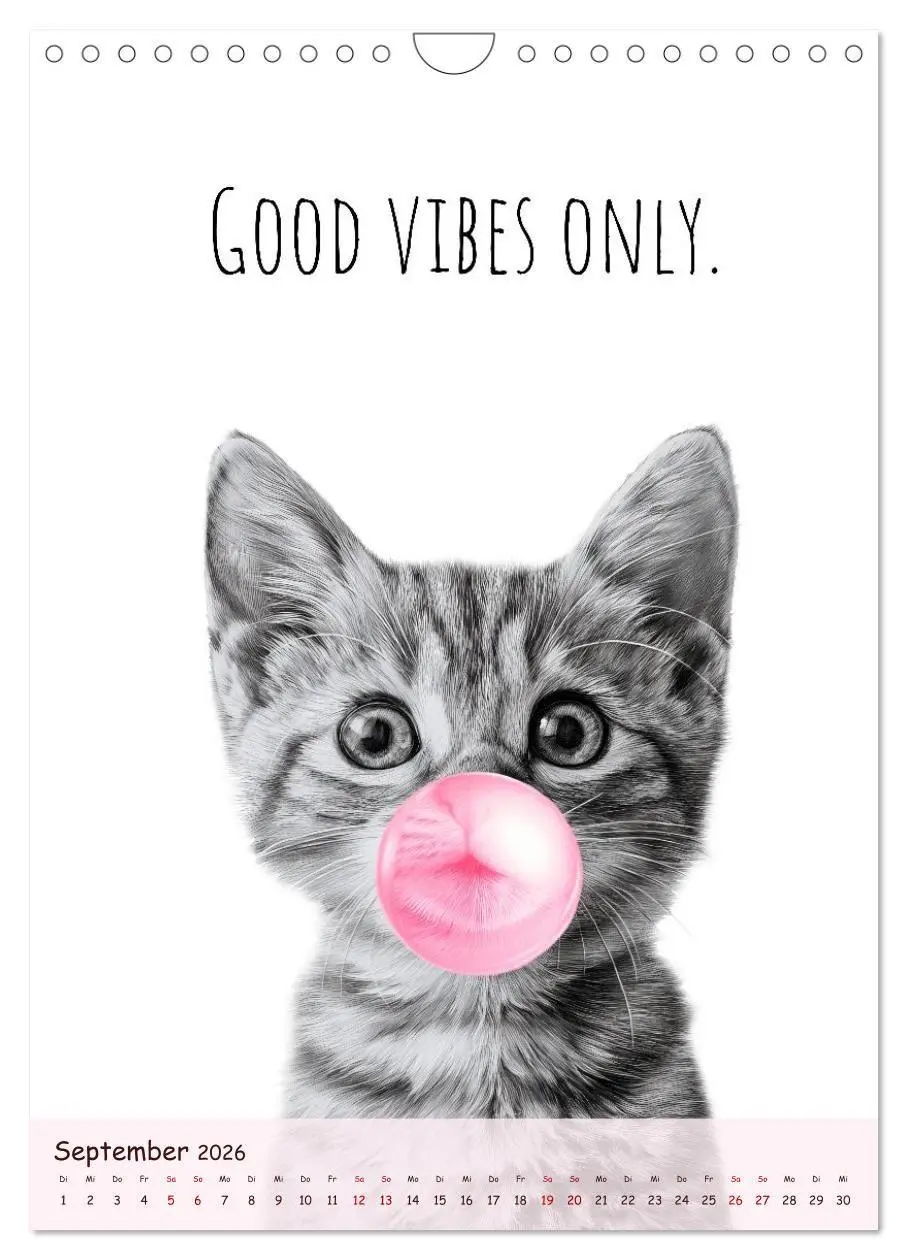 Bild: 9783516721492 | Katzenkult - Coolness auf vier Pfoten (Wandkalender 2026 DIN A4...