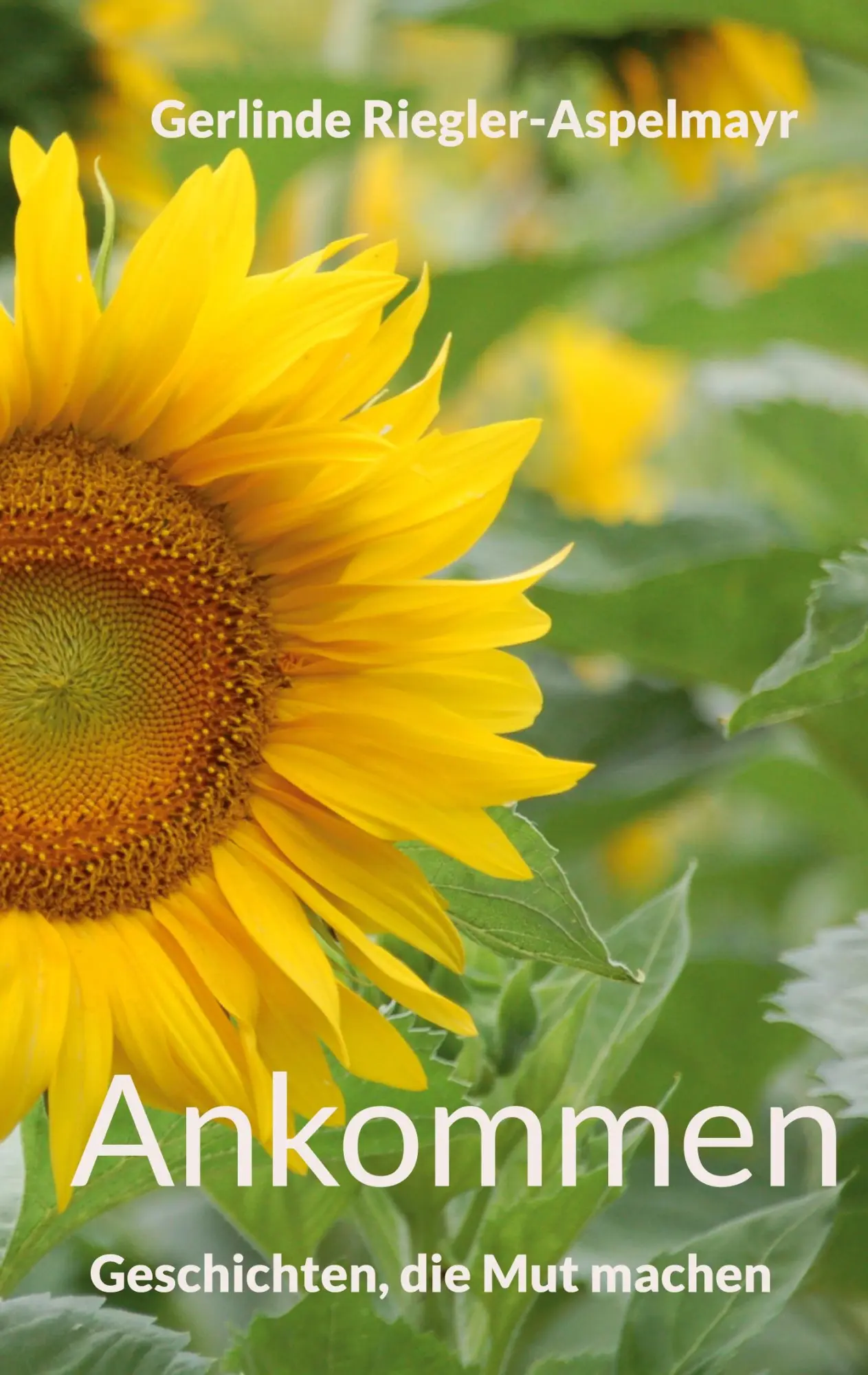 Cover: 9783755791492 | Vom Aufbrechen und Ankommen | Geschichten, die Mut machen | Buch