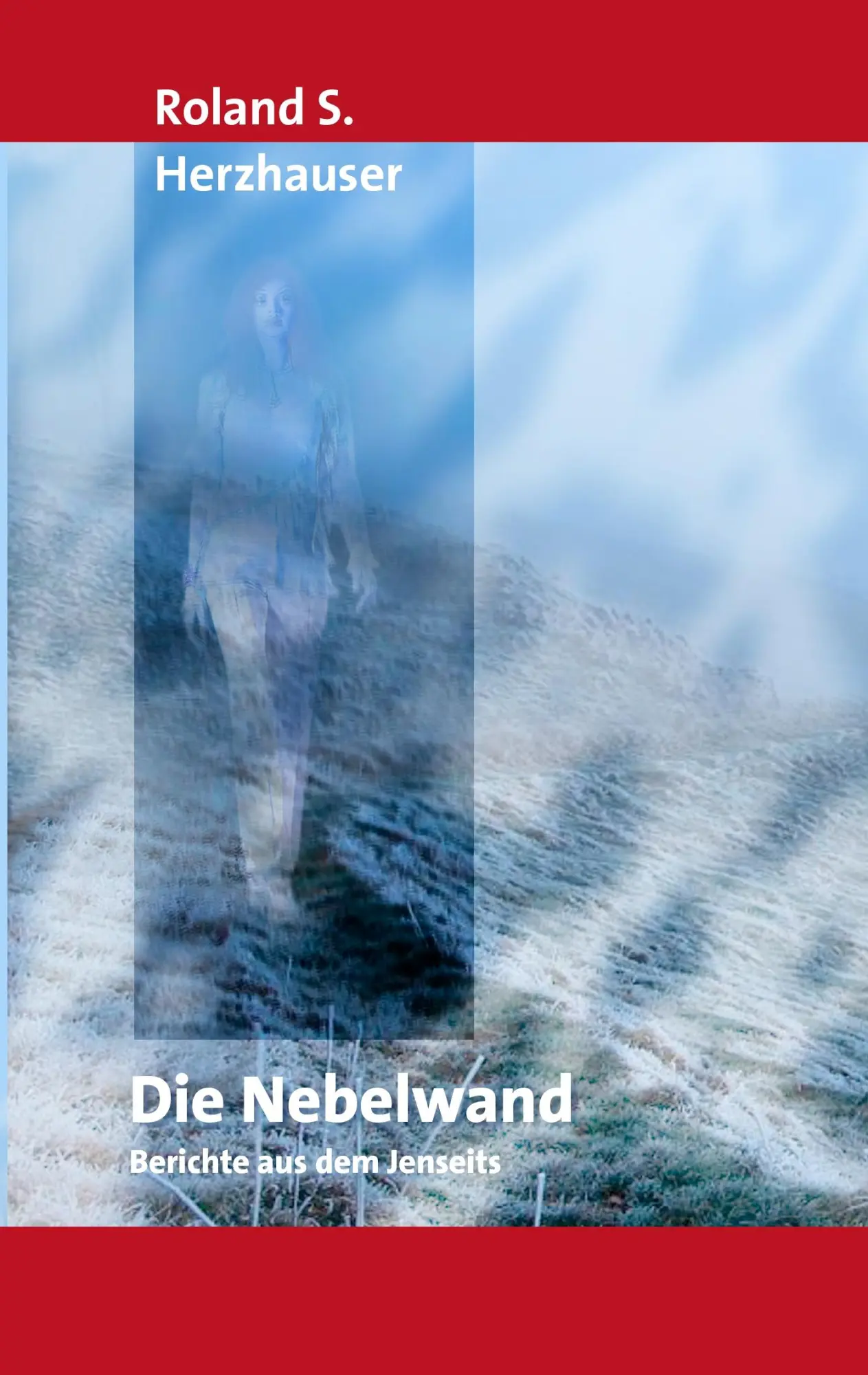 Cover: 9783837031492 | Die Nebelwand | Berichte aus dem Jenseits | Roland S. Herzhauser