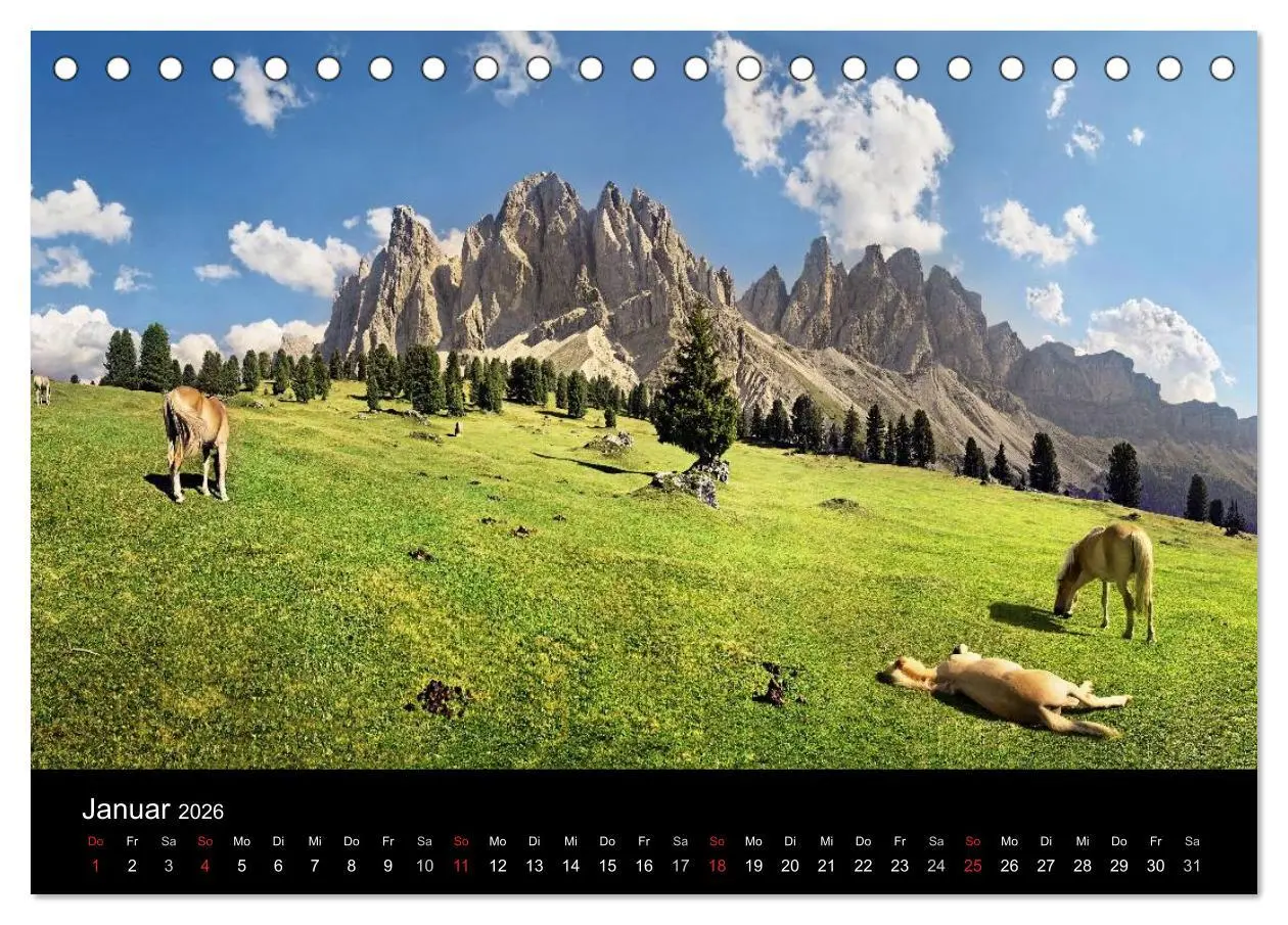 Bild: 9783516021592 | Wunderschöne Haflingerwelt (Tischkalender 2026 DIN A5 quer),...
