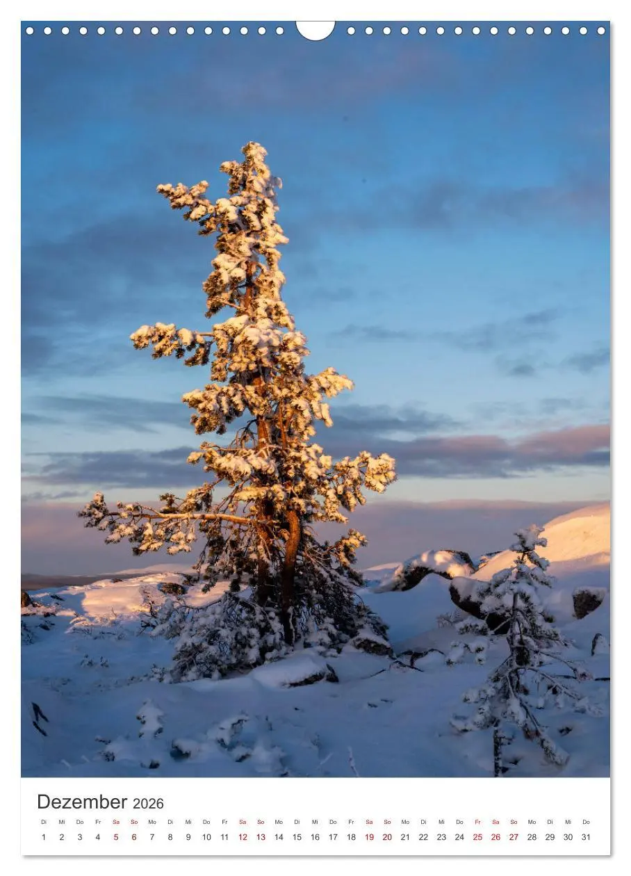 Bild: 9783516331592 | Winter in Lappland - Bezaubernde Schönheit (Wandkalender 2026 DIN...