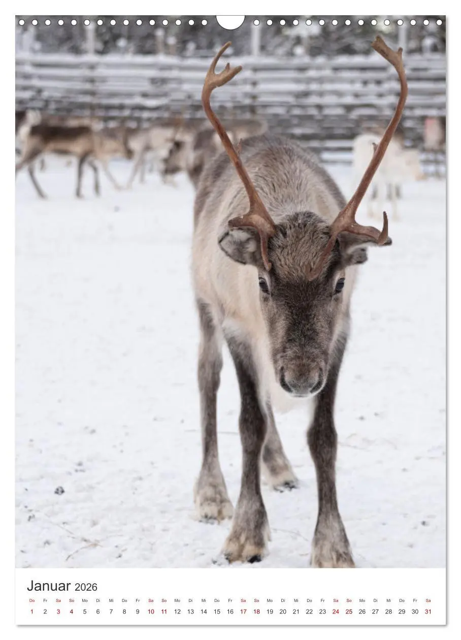 Bild: 9783516331592 | Winter in Lappland - Bezaubernde Schönheit (Wandkalender 2026 DIN...