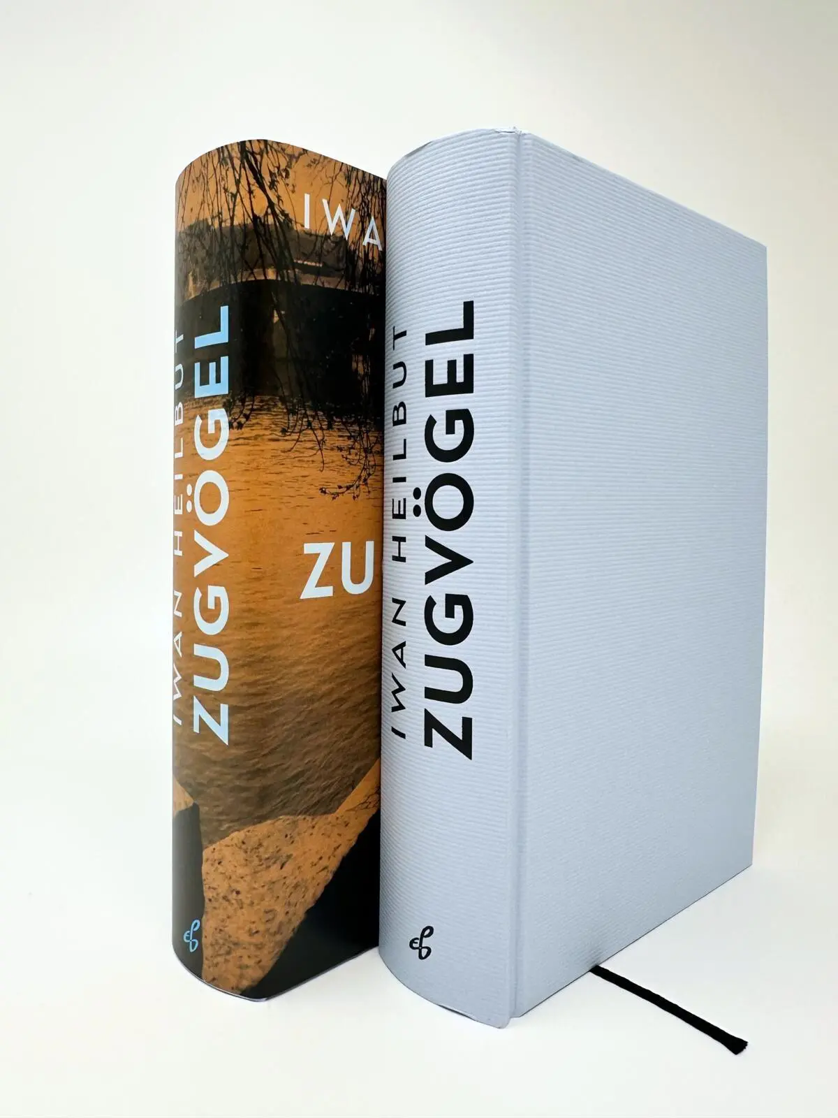Bild: 9783546101592 | Zugvögel | Roman Die größte literarische Wiederentdeckung des Jahres!
