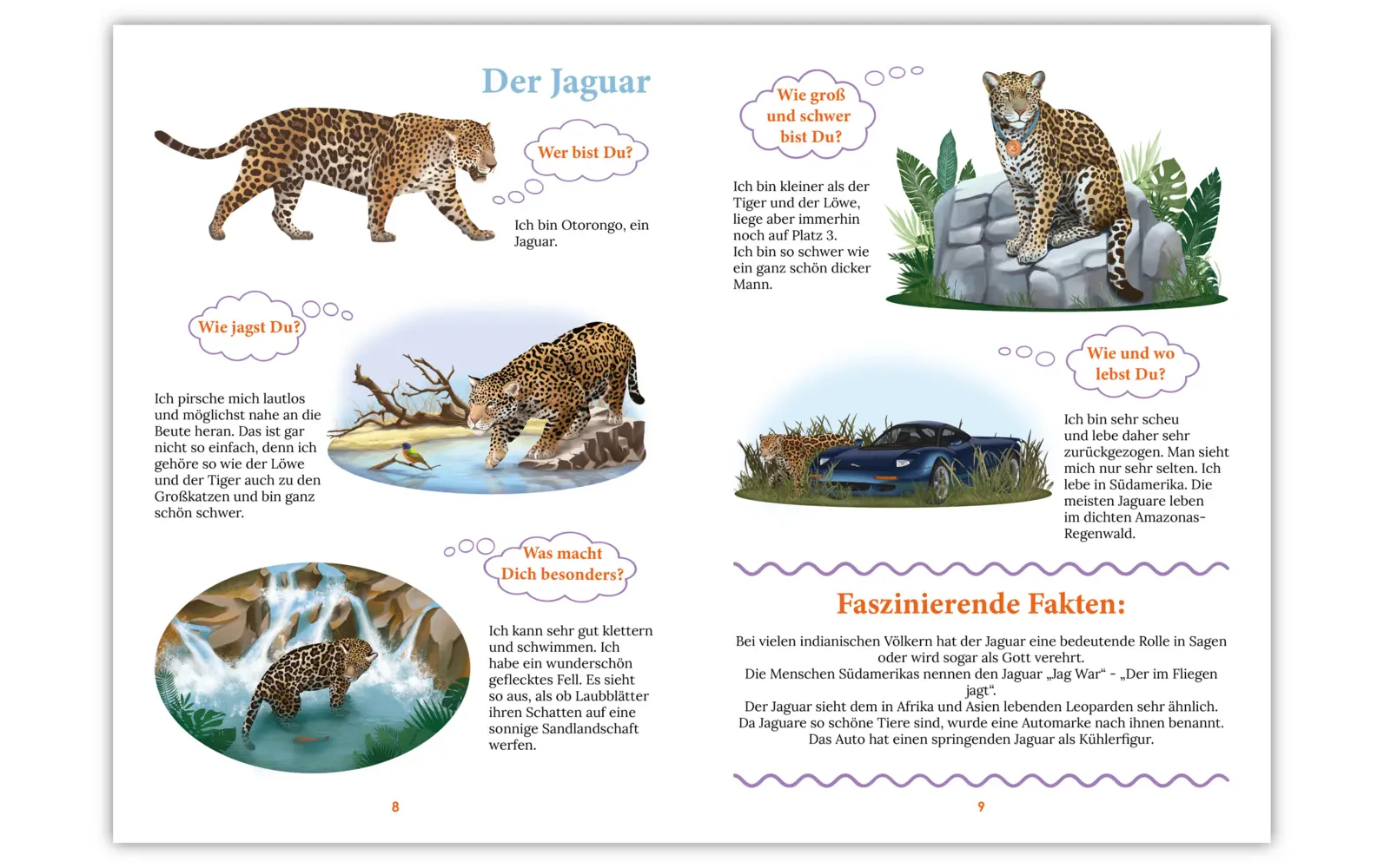 Bild: 9783982251592 | "WiBuKi" Wissensbuch für Kinder: Die Katzenfamilie | Alexikova (u. a.)