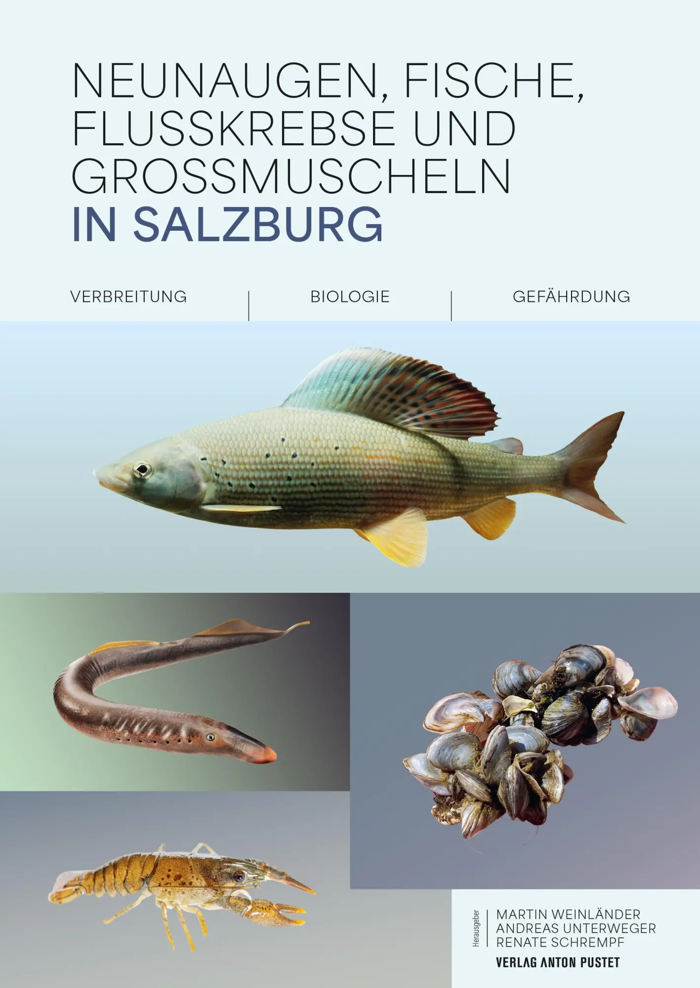 Cover: 9783702511692 | Neunaugen, Fische, Flusskrebse und Großmuscheln in Salzburg | Buch