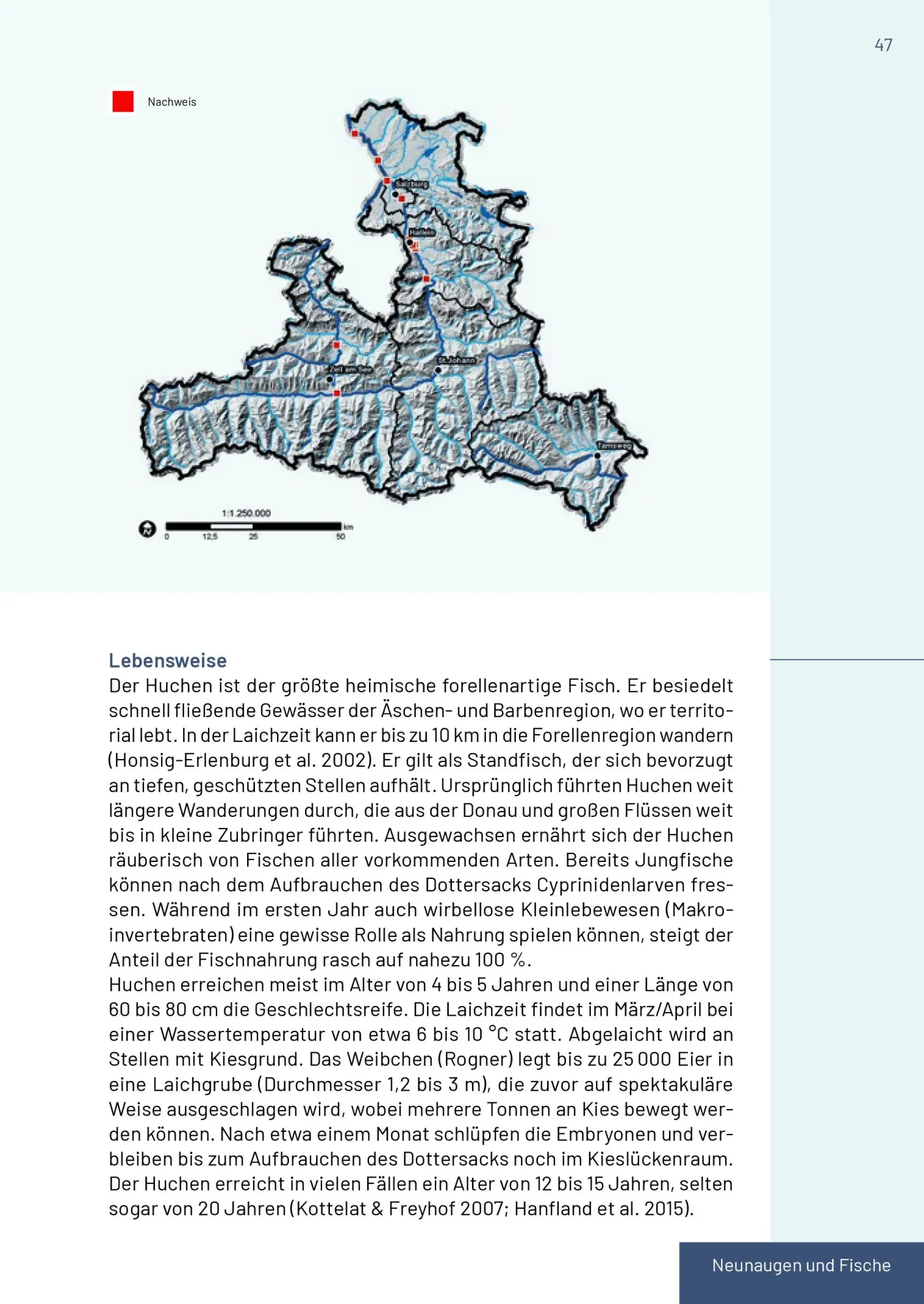 Bild: 9783702511692 | Neunaugen, Fische, Flusskrebse und Großmuscheln in Salzburg | Buch