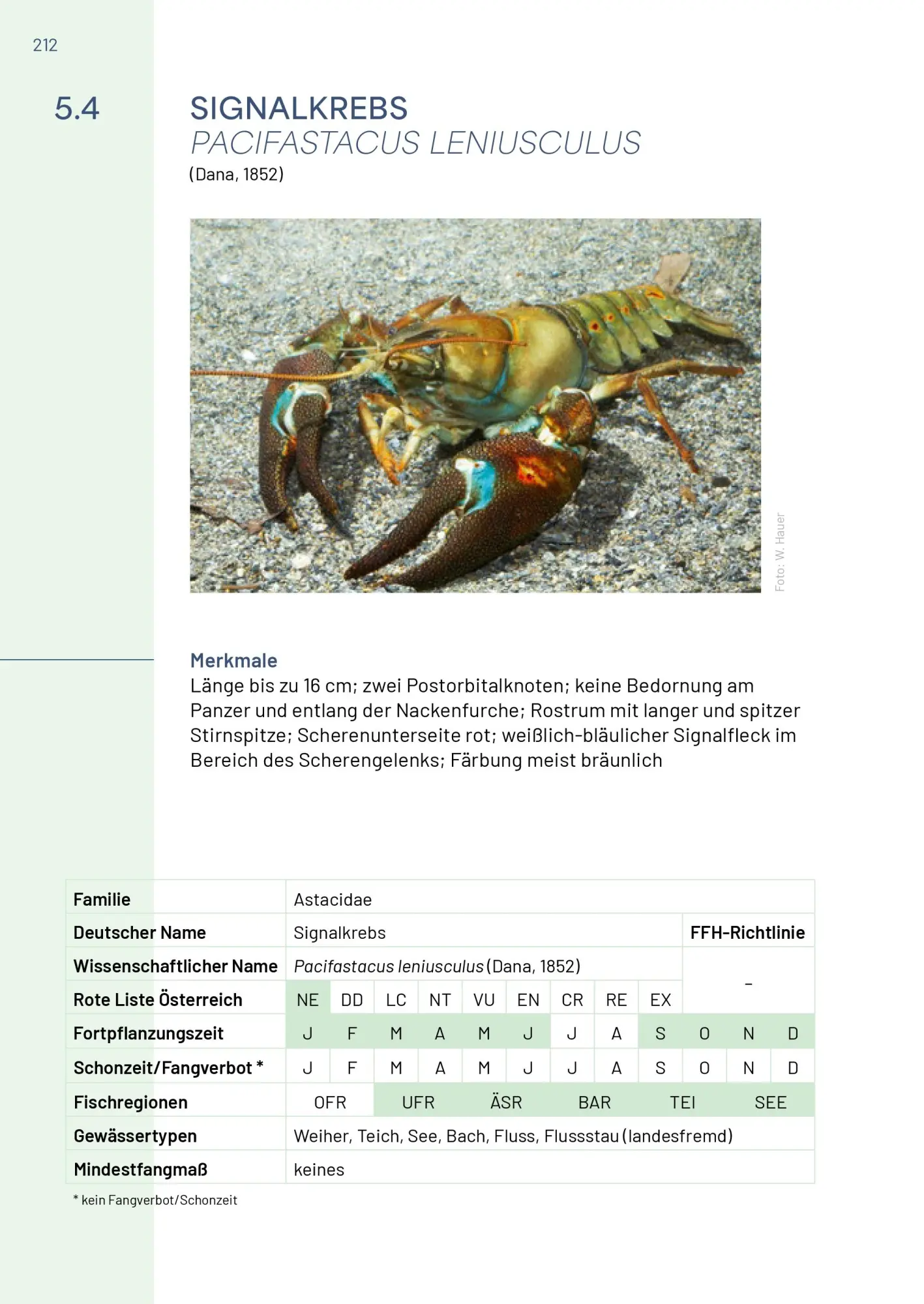 Bild: 9783702511692 | Neunaugen, Fische, Flusskrebse und Großmuscheln in Salzburg | Buch