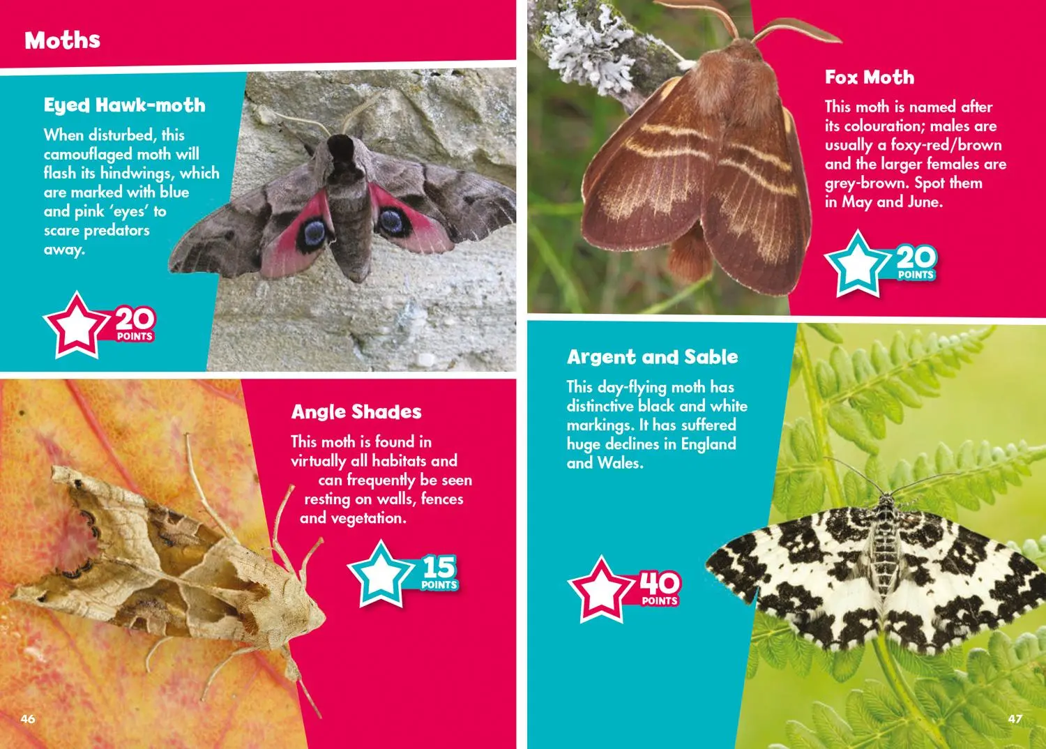Bild: 9780008431792 | i-SPY Butterflies and Moths | Spy it! Score it! | I-Spy | Taschenbuch