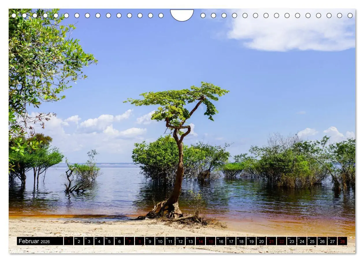 Bild: 9783457841792 | Amazonas - Faszination Regenwald (Wandkalender 2026 DIN A4 quer),...