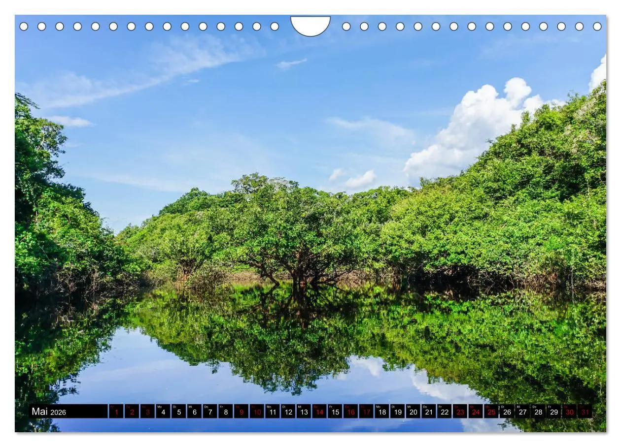 Bild: 9783457841792 | Amazonas - Faszination Regenwald (Wandkalender 2026 DIN A4 quer),...