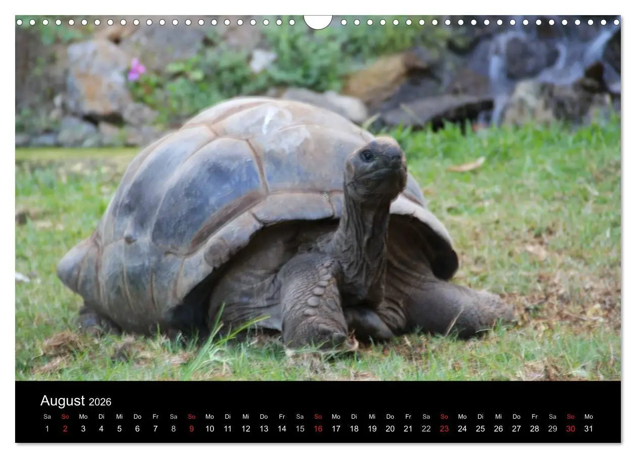 Bild: 9783516171792 | Trauminsel Mauritius (Wandkalender 2026 DIN A3 quer), CALVENDO...
