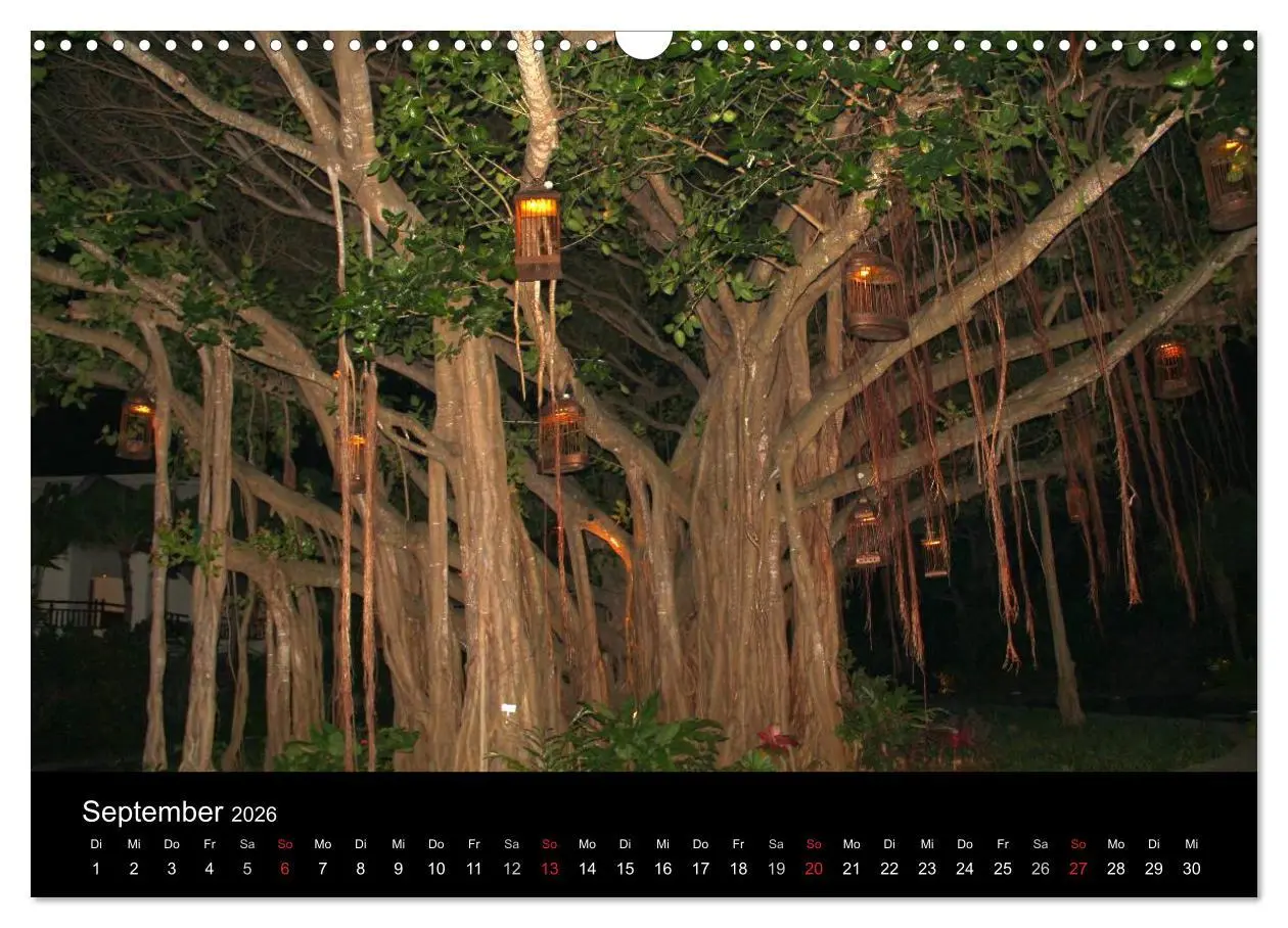 Bild: 9783516171792 | Trauminsel Mauritius (Wandkalender 2026 DIN A3 quer), CALVENDO...