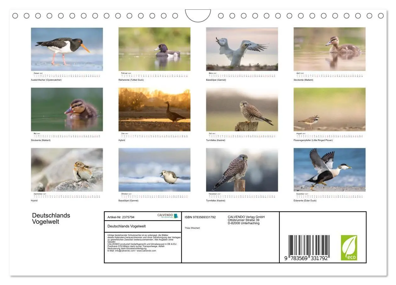 Bild: 9783569331792 | Deutschlands Vogelwelt (Wandkalender 2027 DIN A4 quer), CALVENDO...
