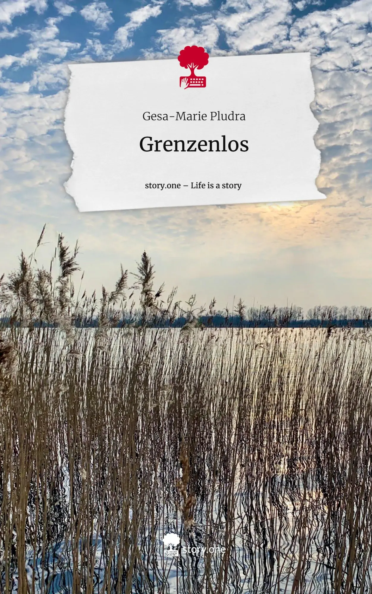 Cover: 9783711581792 | Grenzenlos. Life is a Story - story.one | Gesa-Marie Pludra | Buch