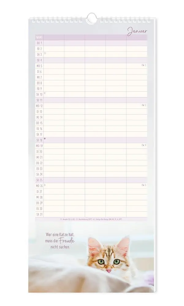 Bild: 9783986361792 | Familienplaner 2026 Samtpfoten | Familienplaner | Original | Kalender