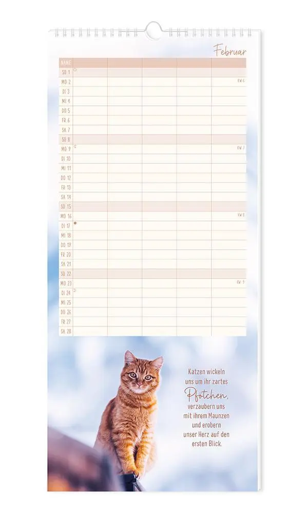Bild: 9783986361792 | Familienplaner 2026 Samtpfoten | Familienplaner | Original | Kalender