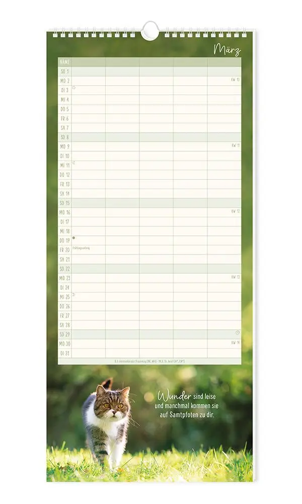 Bild: 9783986361792 | Familienplaner 2026 Samtpfoten | Familienplaner | Original | Kalender