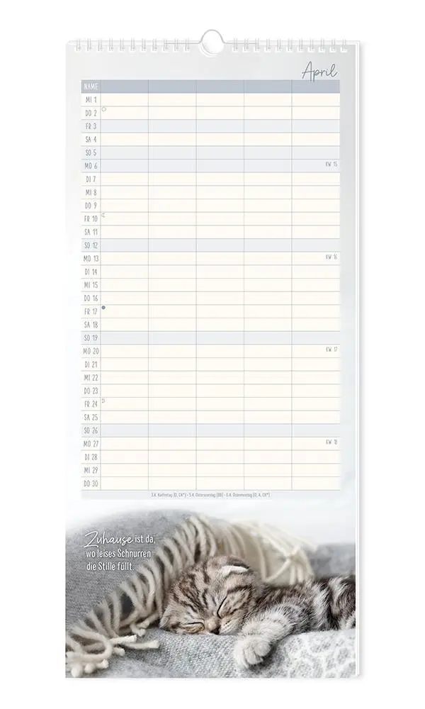 Bild: 9783986361792 | Familienplaner 2026 Samtpfoten | Familienplaner | Original | Kalender