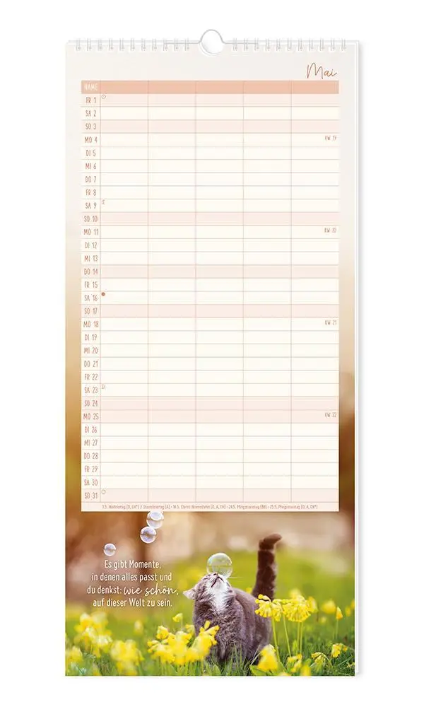 Bild: 9783986361792 | Familienplaner 2026 Samtpfoten | Familienplaner | Original | Kalender