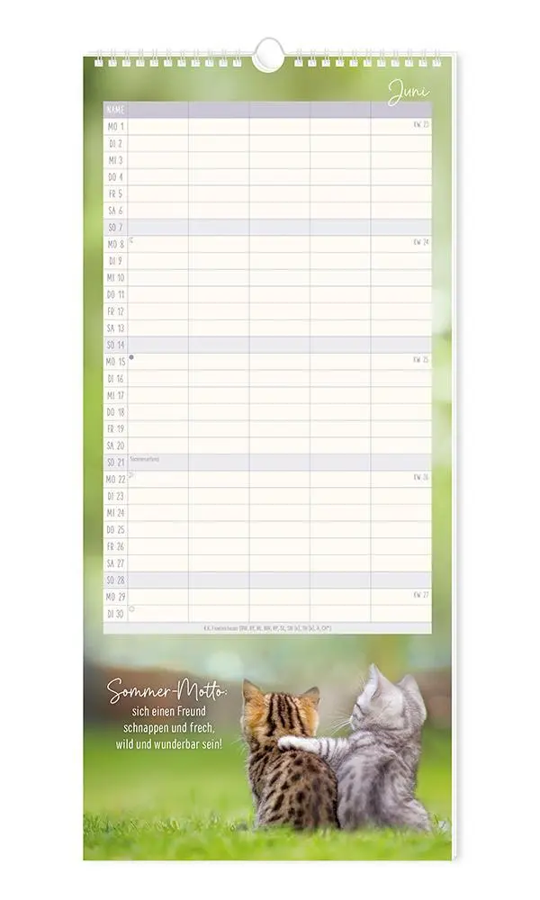 Bild: 9783986361792 | Familienplaner 2026 Samtpfoten | Familienplaner | Original | Kalender