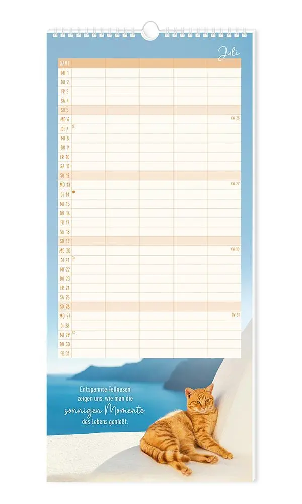 Bild: 9783986361792 | Familienplaner 2026 Samtpfoten | Familienplaner | Original | Kalender