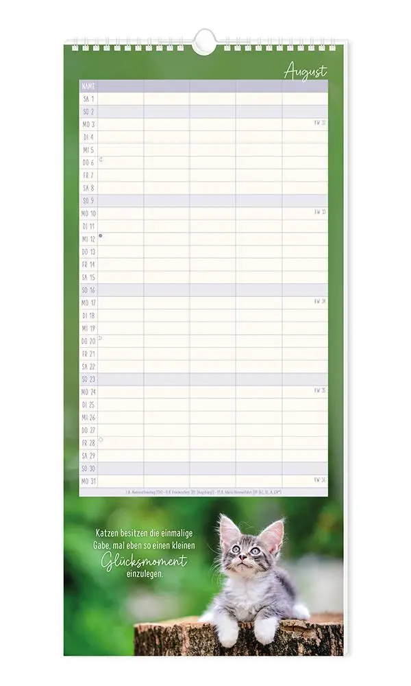 Bild: 9783986361792 | Familienplaner 2026 Samtpfoten | Familienplaner | Original | Kalender