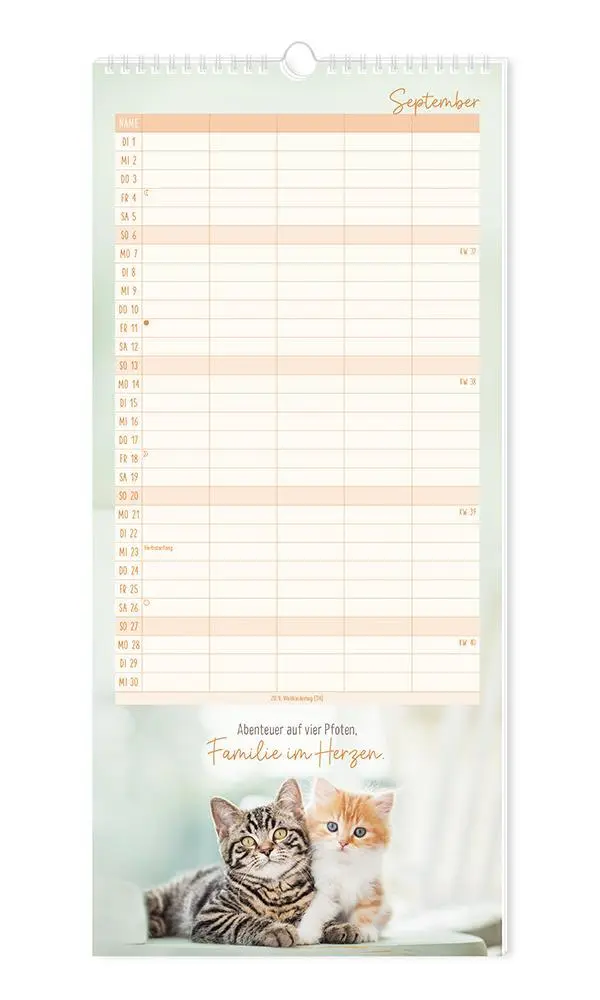 Bild: 9783986361792 | Familienplaner 2026 Samtpfoten | Familienplaner | Original | Kalender