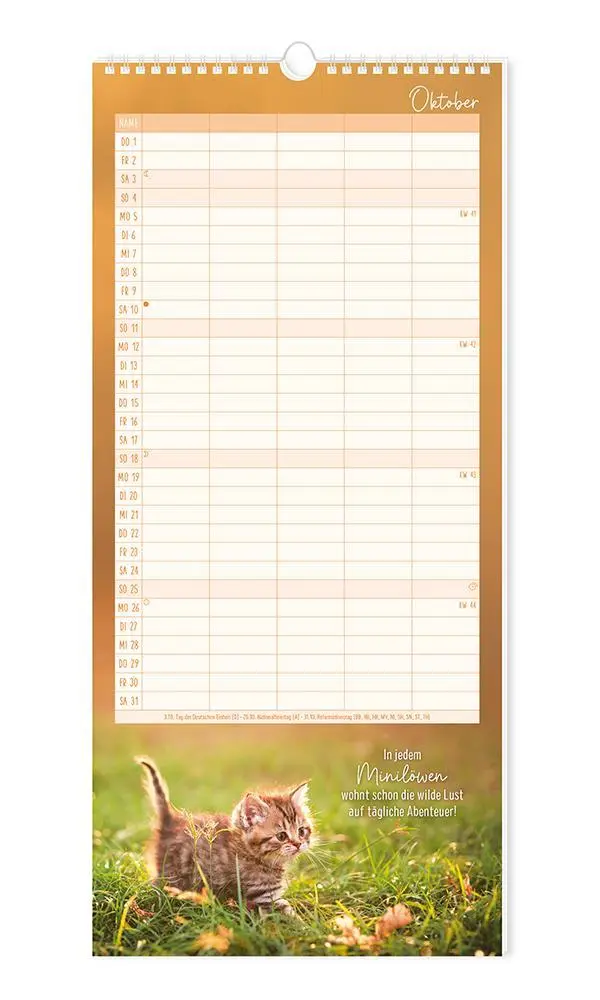 Bild: 9783986361792 | Familienplaner 2026 Samtpfoten | Familienplaner | Original | Kalender