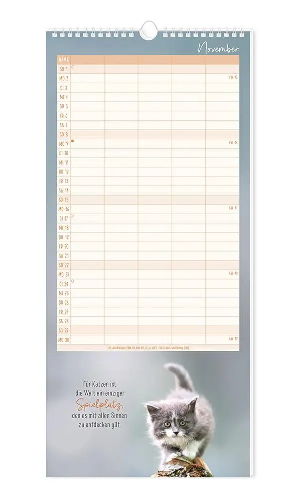 Bild: 9783986361792 | Familienplaner 2026 Samtpfoten | Familienplaner | Original | Kalender