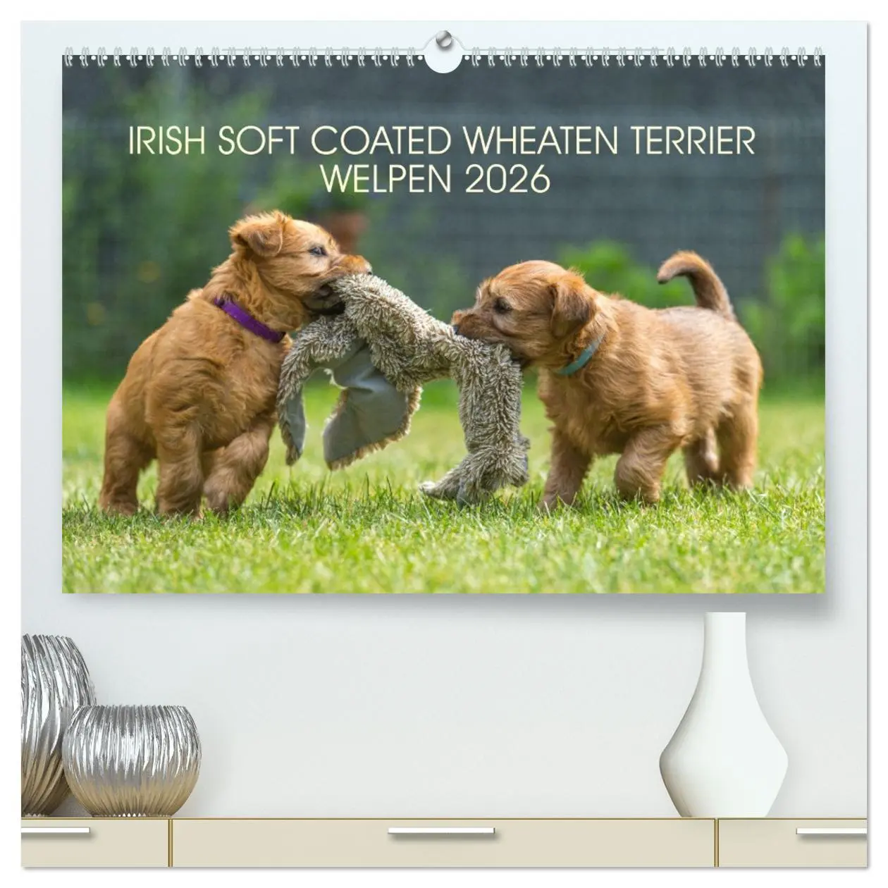 Cover: 9783457451892 | IRISH SOFT COATED WHEATEN TERRIER WELPEN 2026 (hochwertiger Premium...
